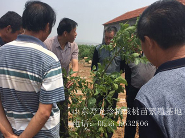 售后現場指導